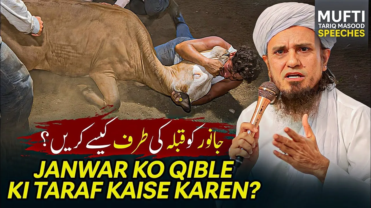 Janwar Ko Qible Ki Taraf Kaise Karen  | Mufti Tariq Masood Speeches